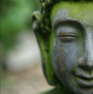 Meet your Posher, Senayit